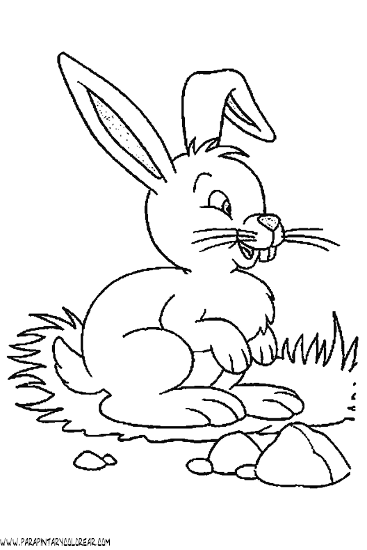 dibujos-de-conejos-117.gif