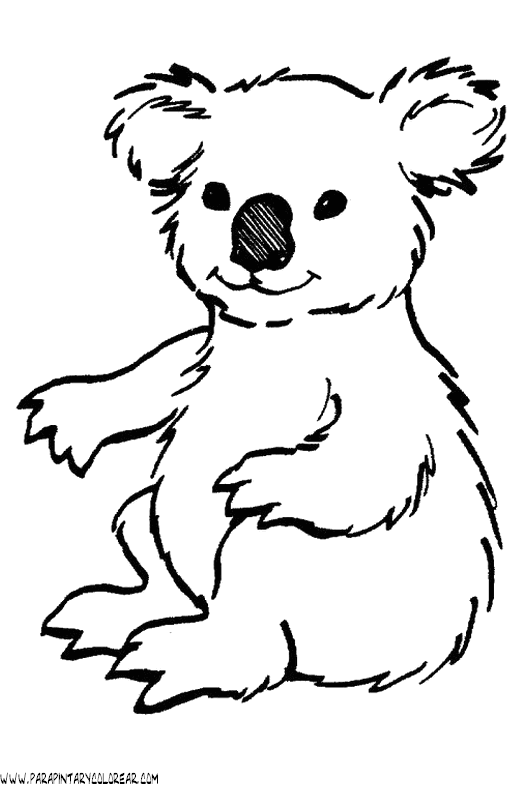 dibujos-de-koalas-03.gif