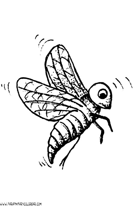 dibujos-para-colorear-de-abejas-003.gif
