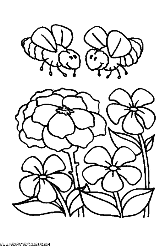 dibujos-para-colorear-de-abejas-009.gif
