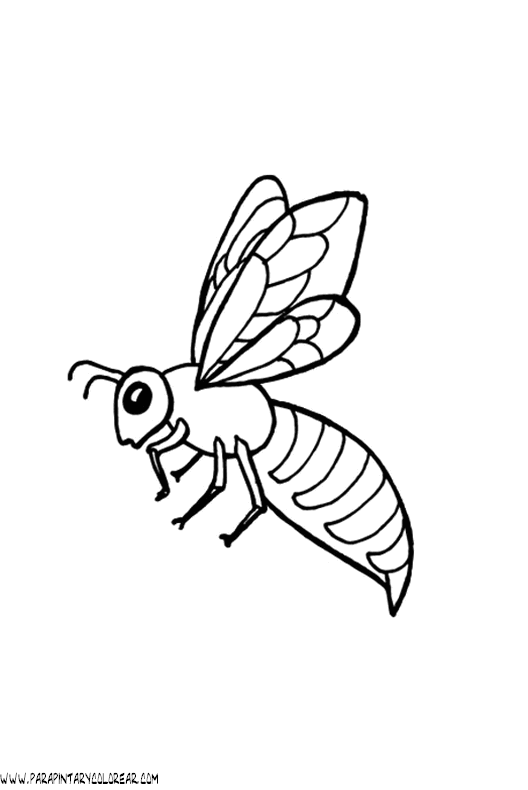 dibujos-para-colorear-de-abejas-012.gif