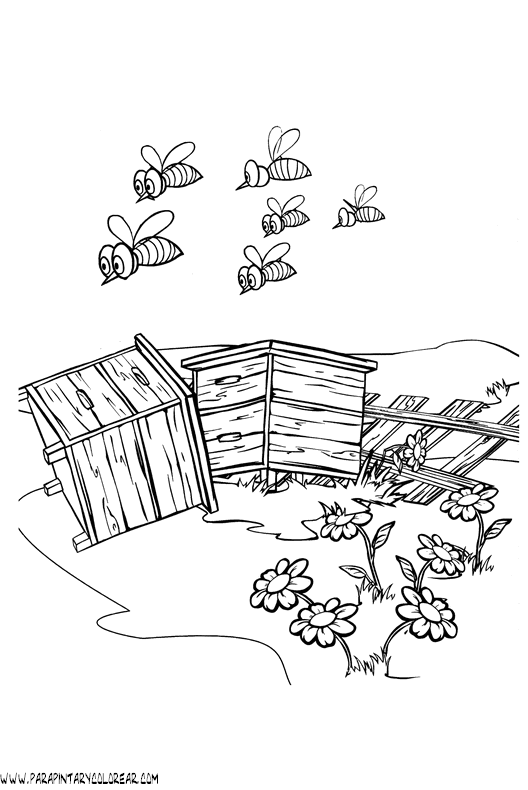 dibujos-para-colorear-de-abejas-013.gif