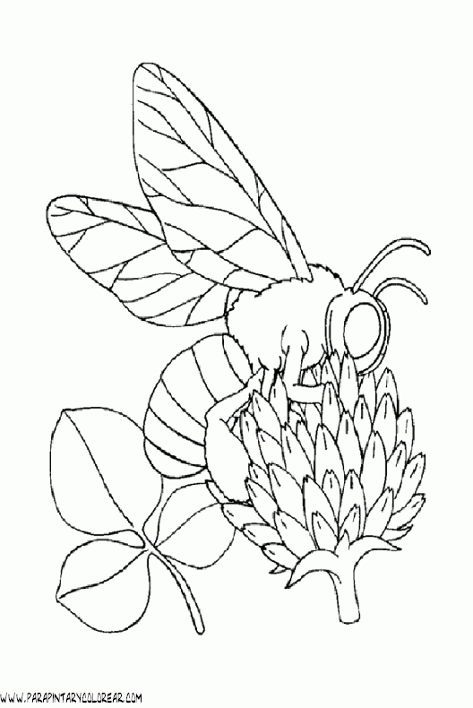 dibujos-para-colorear-de-abejas-015.gif