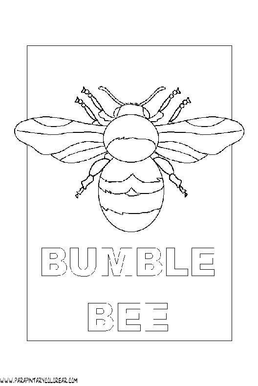 dibujos-para-pintar-de-abejas-005.gif
