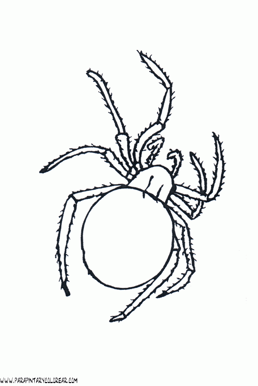 dibujos-de-aranyas-007.gif