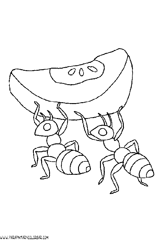 dibujos-de-hormigas-03.gif