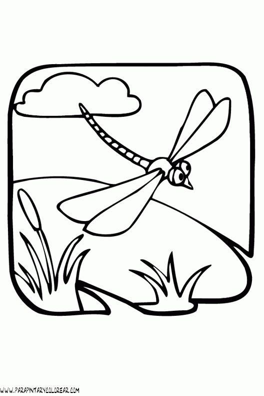 dibujos-de-libelulas-01.gif