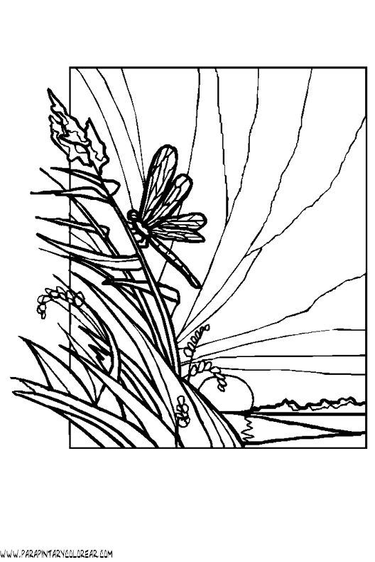 dibujos-de-libelulas-06.gif
