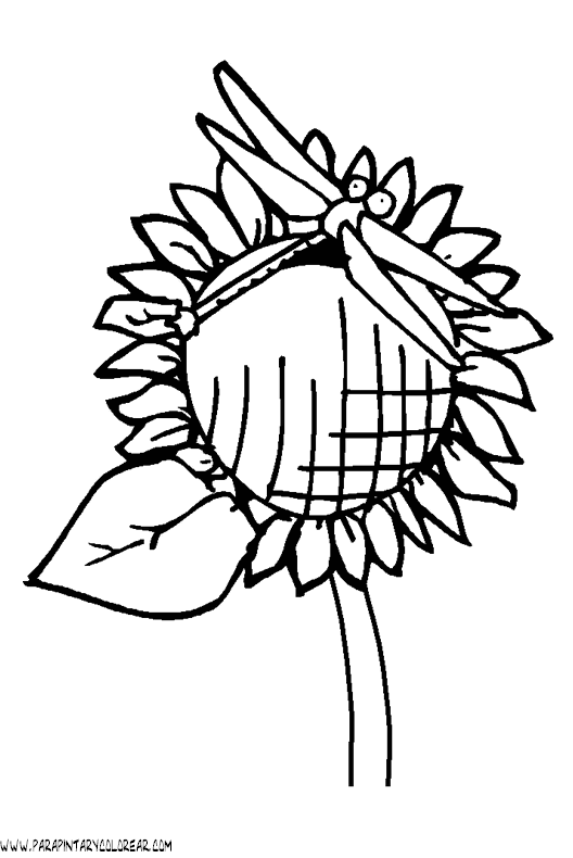 dibujos-de-libelulas-08.gif