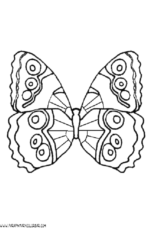 dibujos-de-mariposas-75.gif