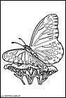 dibujos-de-mariposas-111.gif