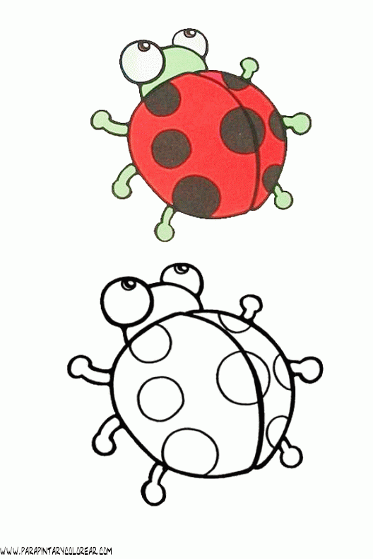 dibujos-de-mariquitas-01.gif
