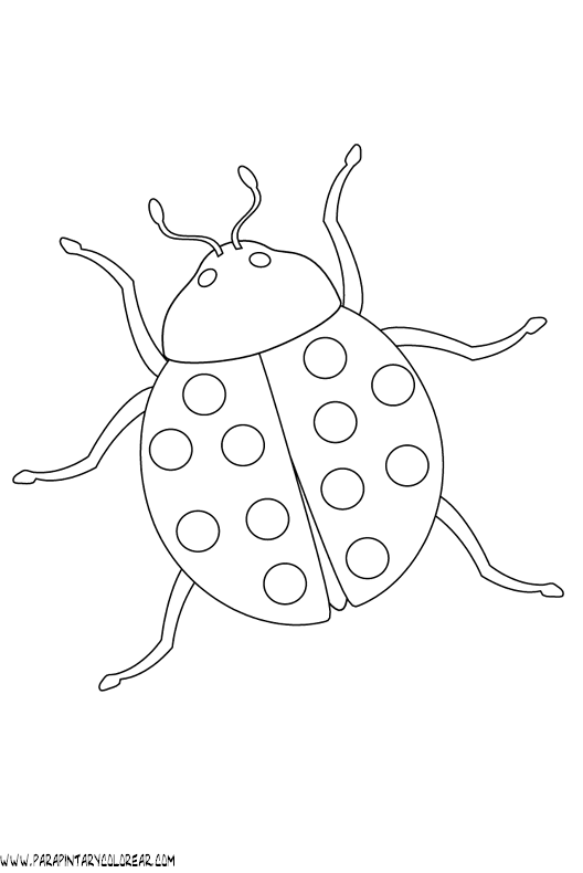 dibujos-de-mariquitas-06.gif