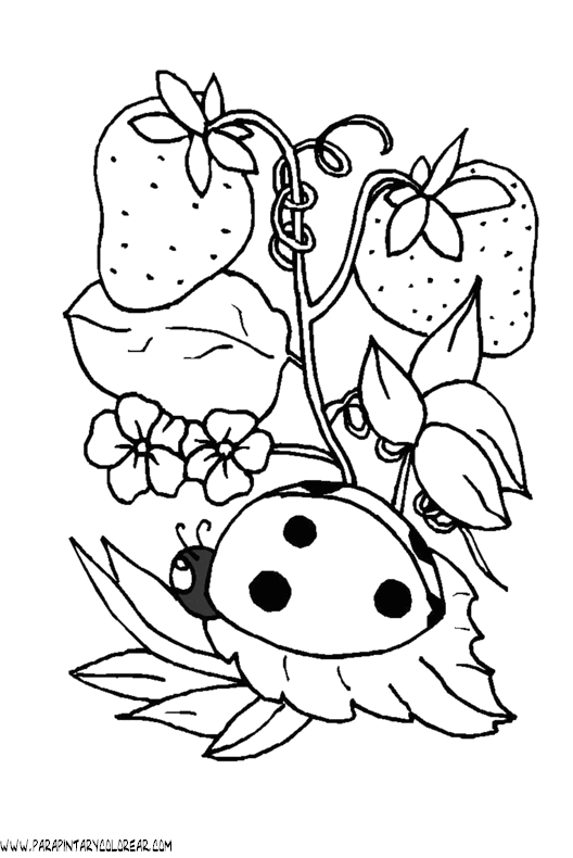 dibujos-de-mariquitas-08.gif