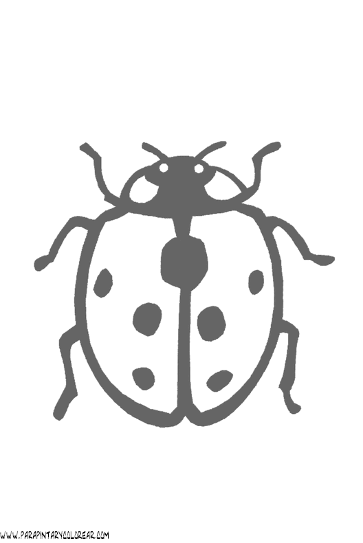 dibujos-de-mariquitas-14.gif
