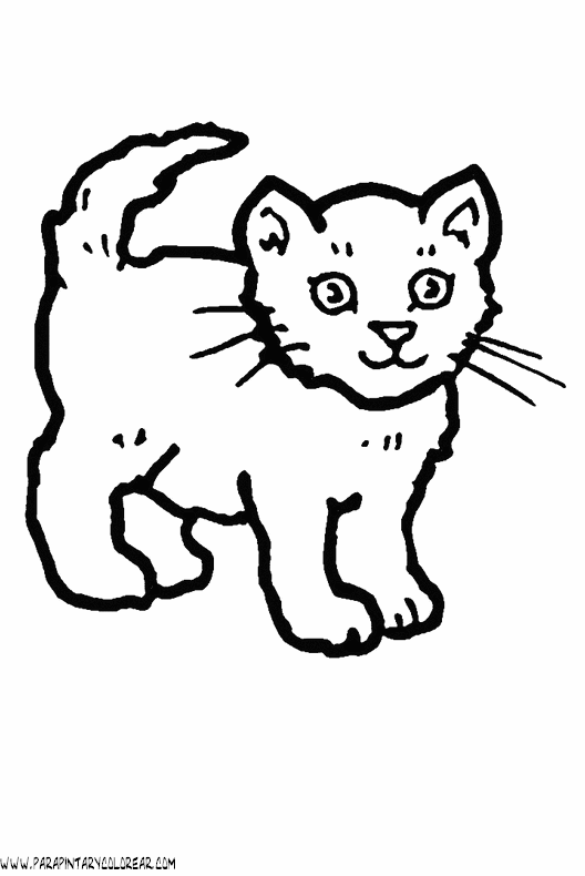 dibujos-de-gatos-032.gif