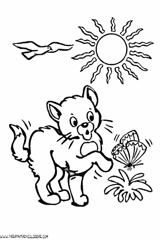 dibujos-de-gatos-033.gif