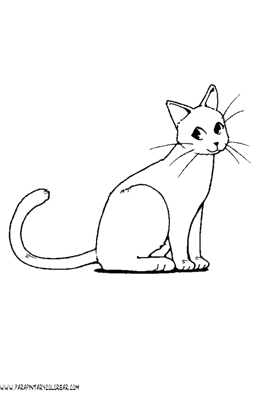 dibujos-de-gatos-040.gif