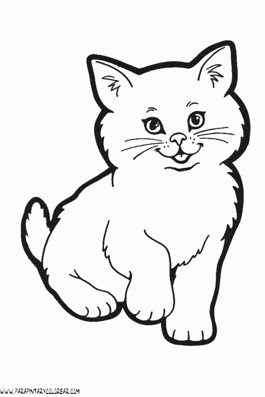 dibujos-de-gatos-043.gif