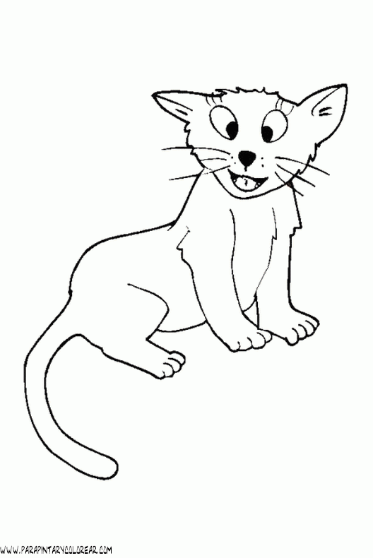 dibujos-de-gatos-056.gif