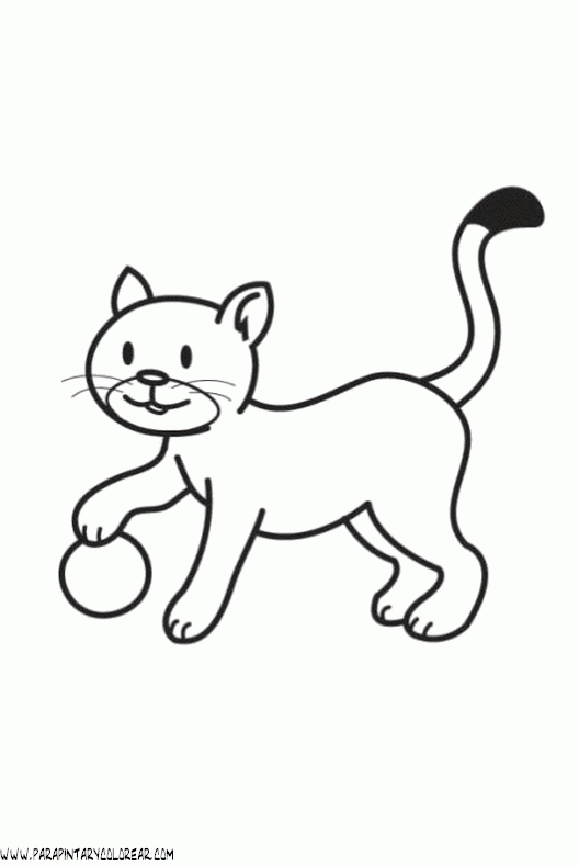 dibujos-de-gatos-070.gif