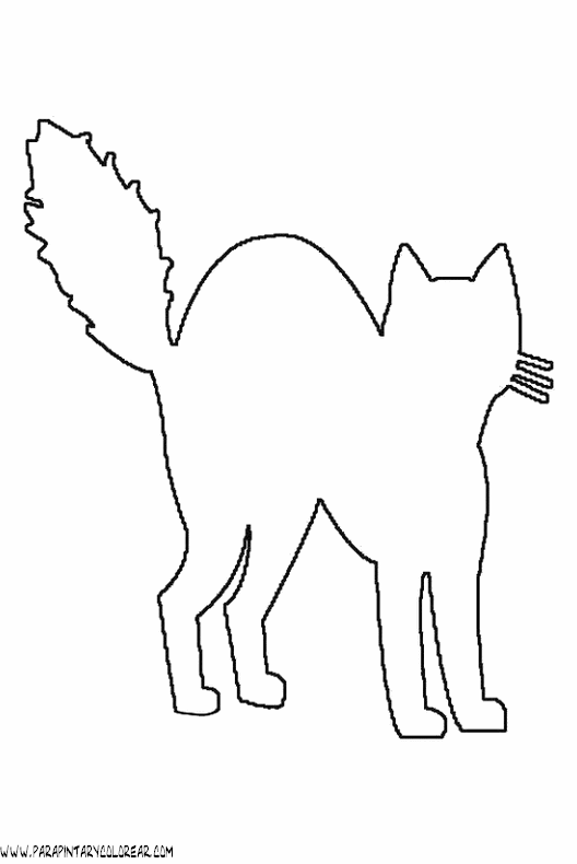dibujos-de-gatos-073.gif