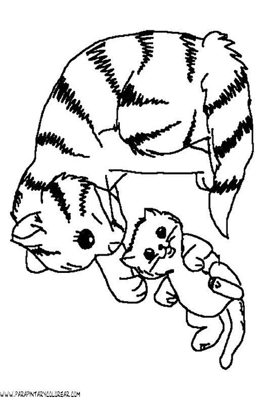 dibujos-de-gatos-092.gif