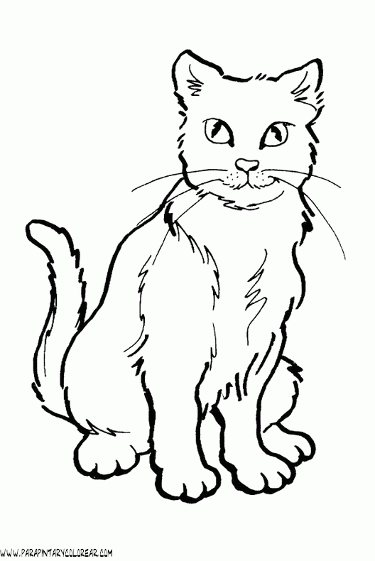 dibujos-de-gatos-099.gif