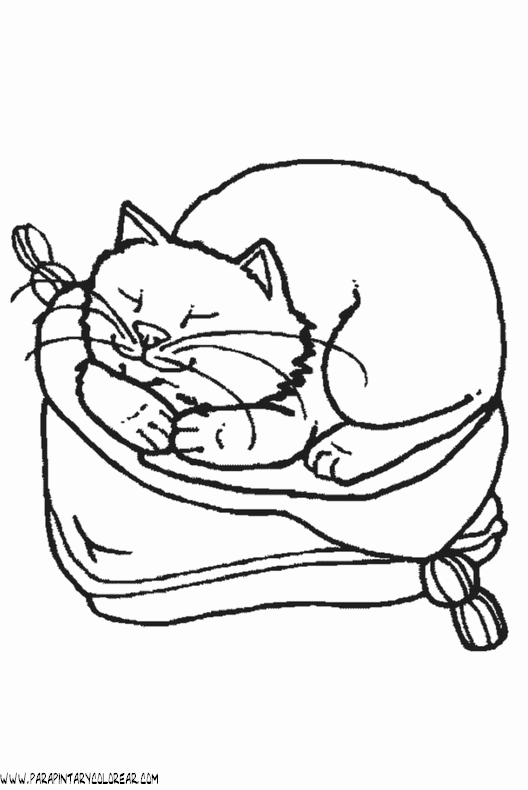 dibujos-de-gatos-101.gif