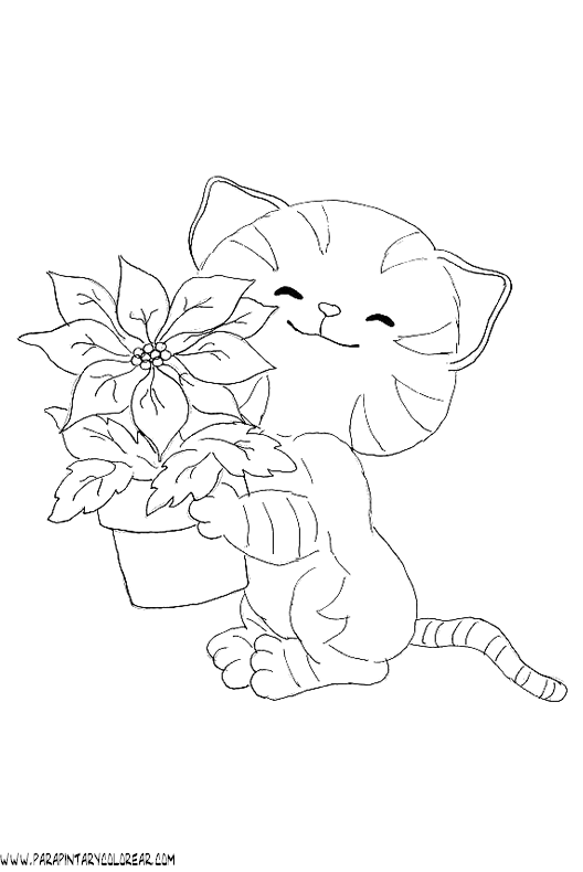 dibujos-de-gatos-128.gif