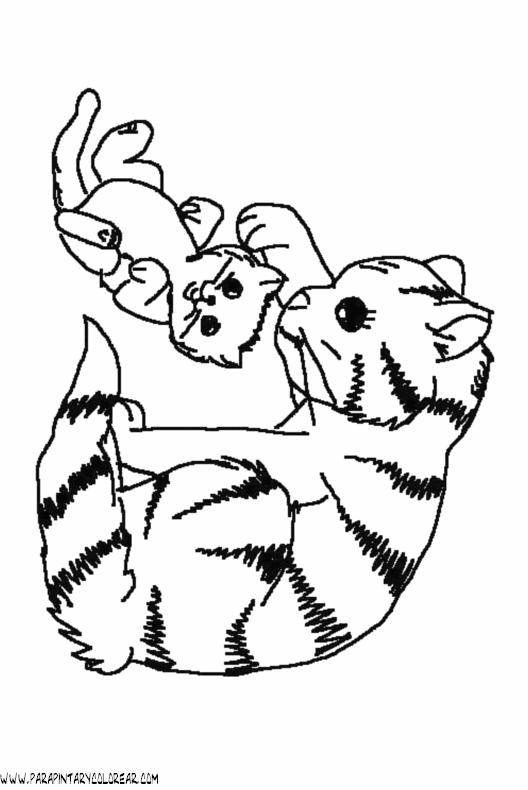 dibujos-de-gatos-129.gif