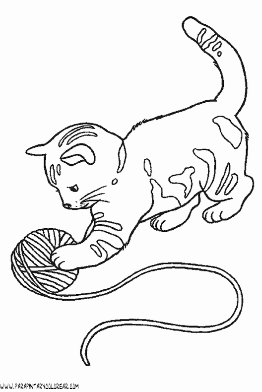 dibujos-de-gatos-130.gif