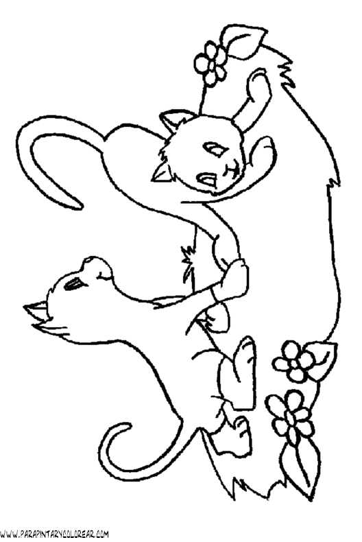 dibujos-de-gatos-136.gif