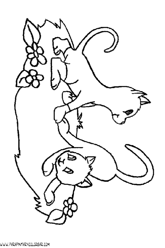dibujos-de-gatos-143.gif