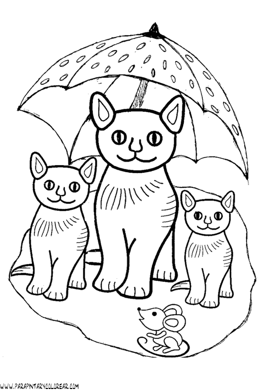 dibujos-de-gatos-144.gif