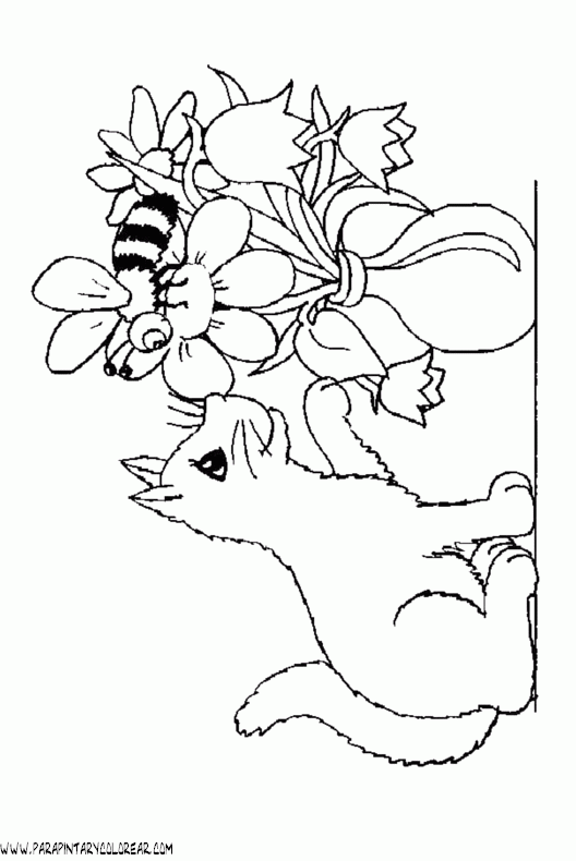 dibujos-de-gatos-152.gif