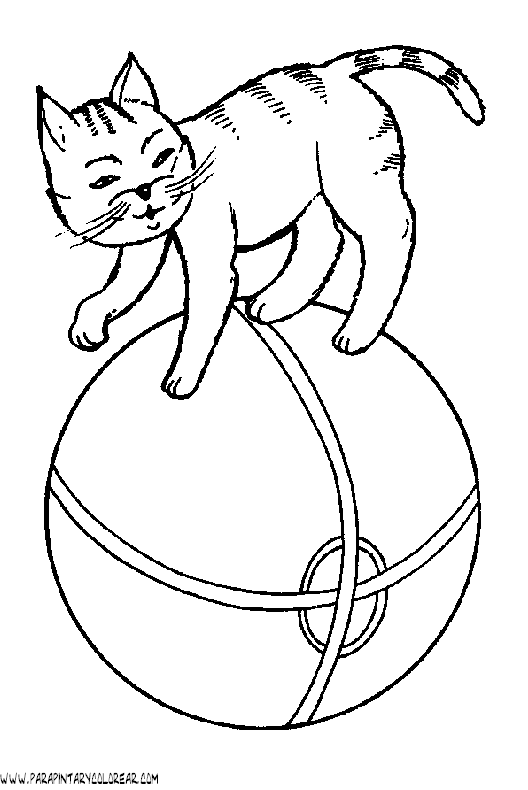dibujos-de-gatos-157.gif