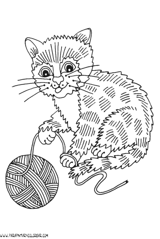 dibujos-de-gatos-176.gif