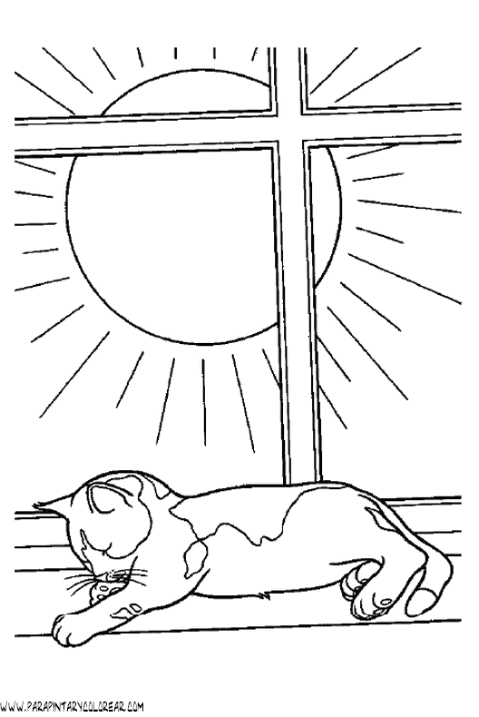 dibujos-de-gatos-178.gif