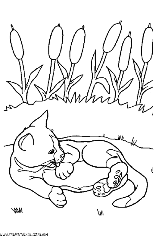 dibujos-de-gatos-180.gif
