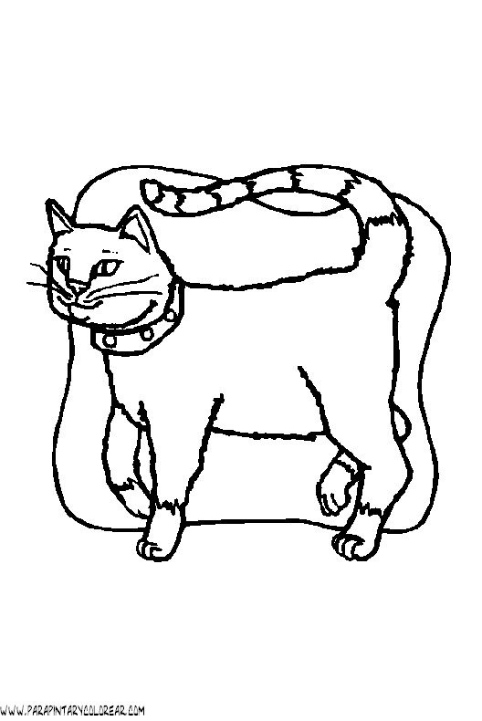 dibujos-de-gatos-184.gif