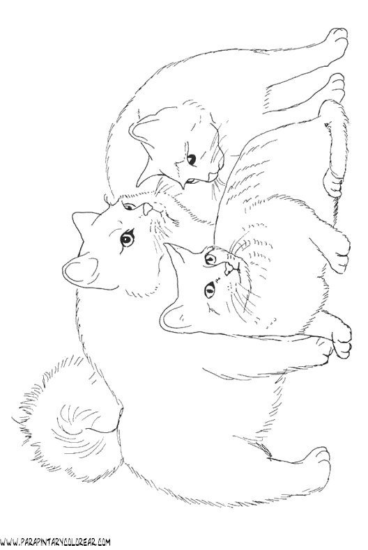 dibujos-de-gatos-185.gif