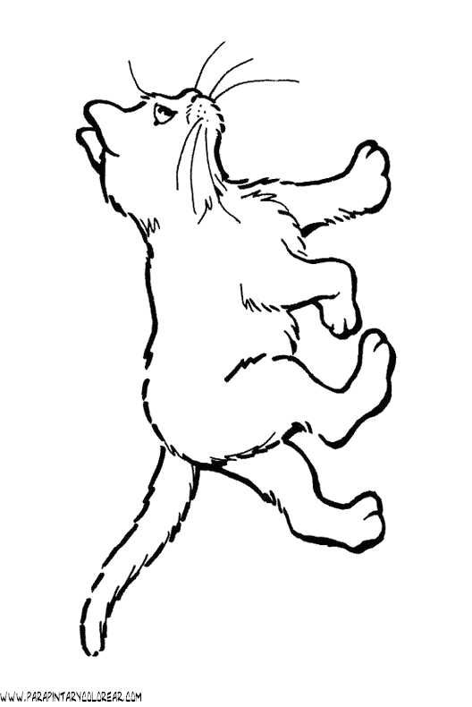 dibujos-de-gatos-188.gif