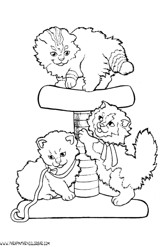 dibujos-de-gatos-192.gif