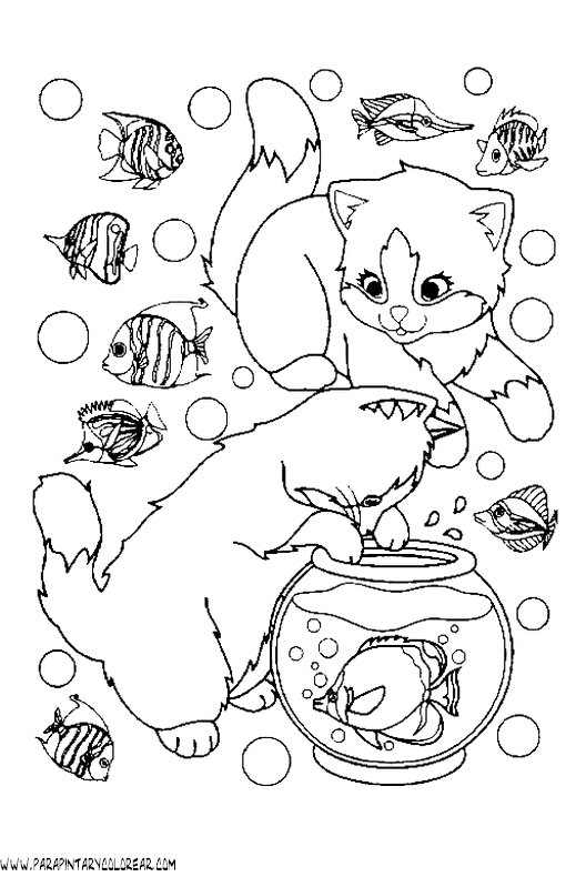 dibujos-de-gatos-203.gif
