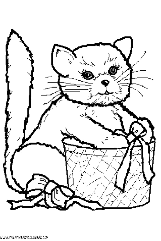 dibujos-de-gatos-207.gif