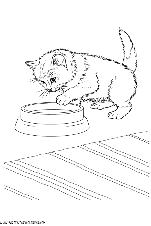 dibujos-de-gatos-219.gif