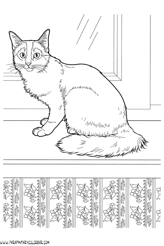 dibujos-de-gatos-221.gif