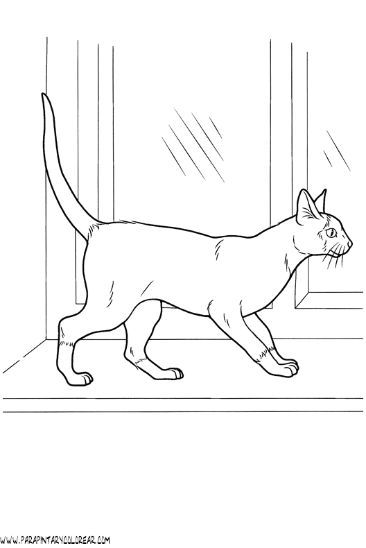 dibujos-de-gatos-223.gif