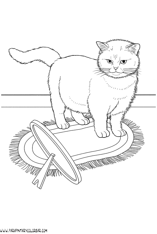dibujos-de-gatos-224.gif
